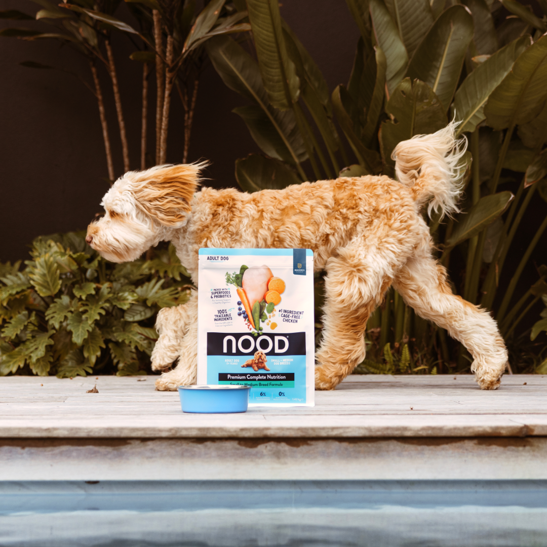 NOOD® Honestly Good Pet Food